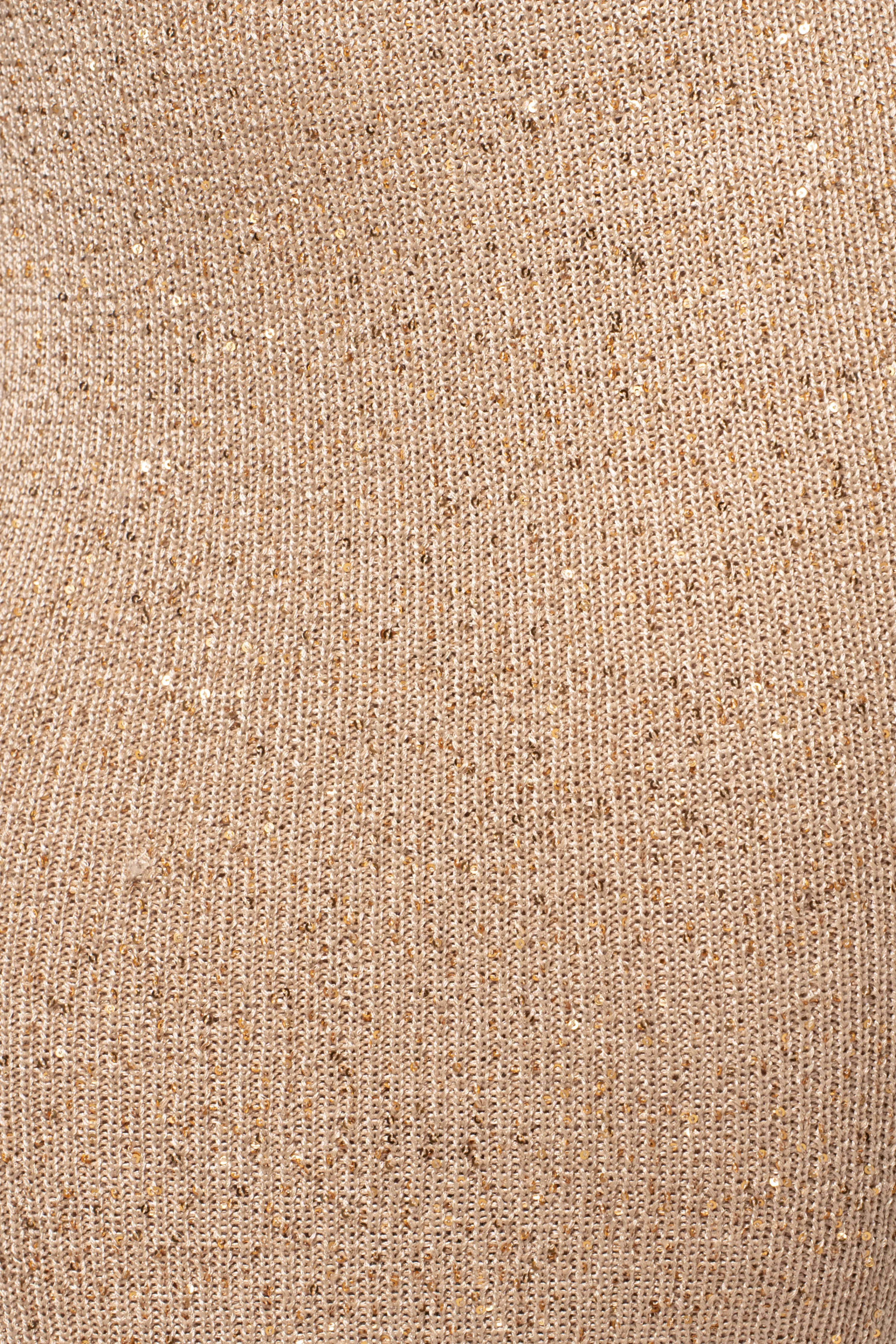 Beige Palace Sequin Skirt Set