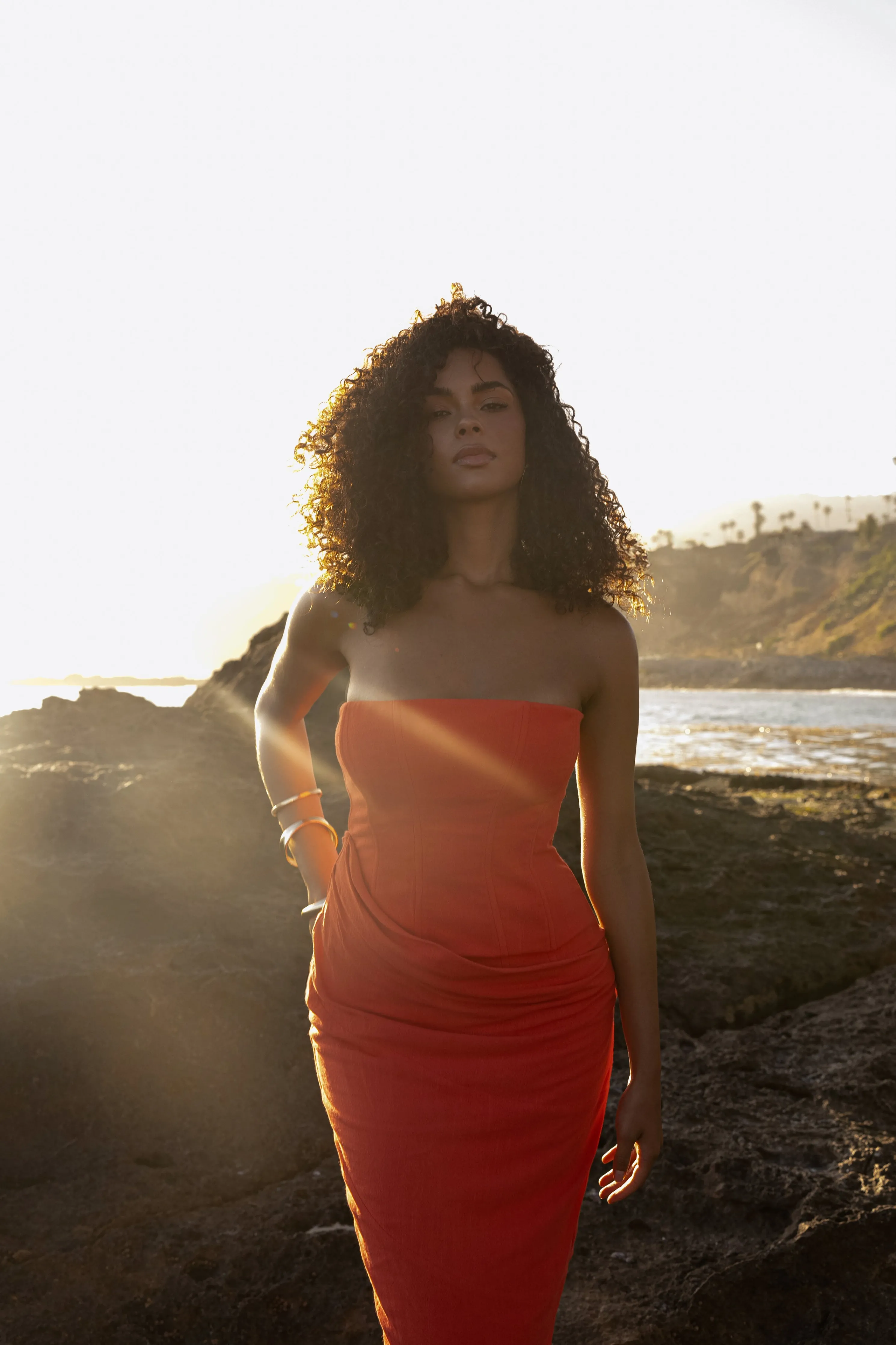 Berry Journey Linen Maxi Dress