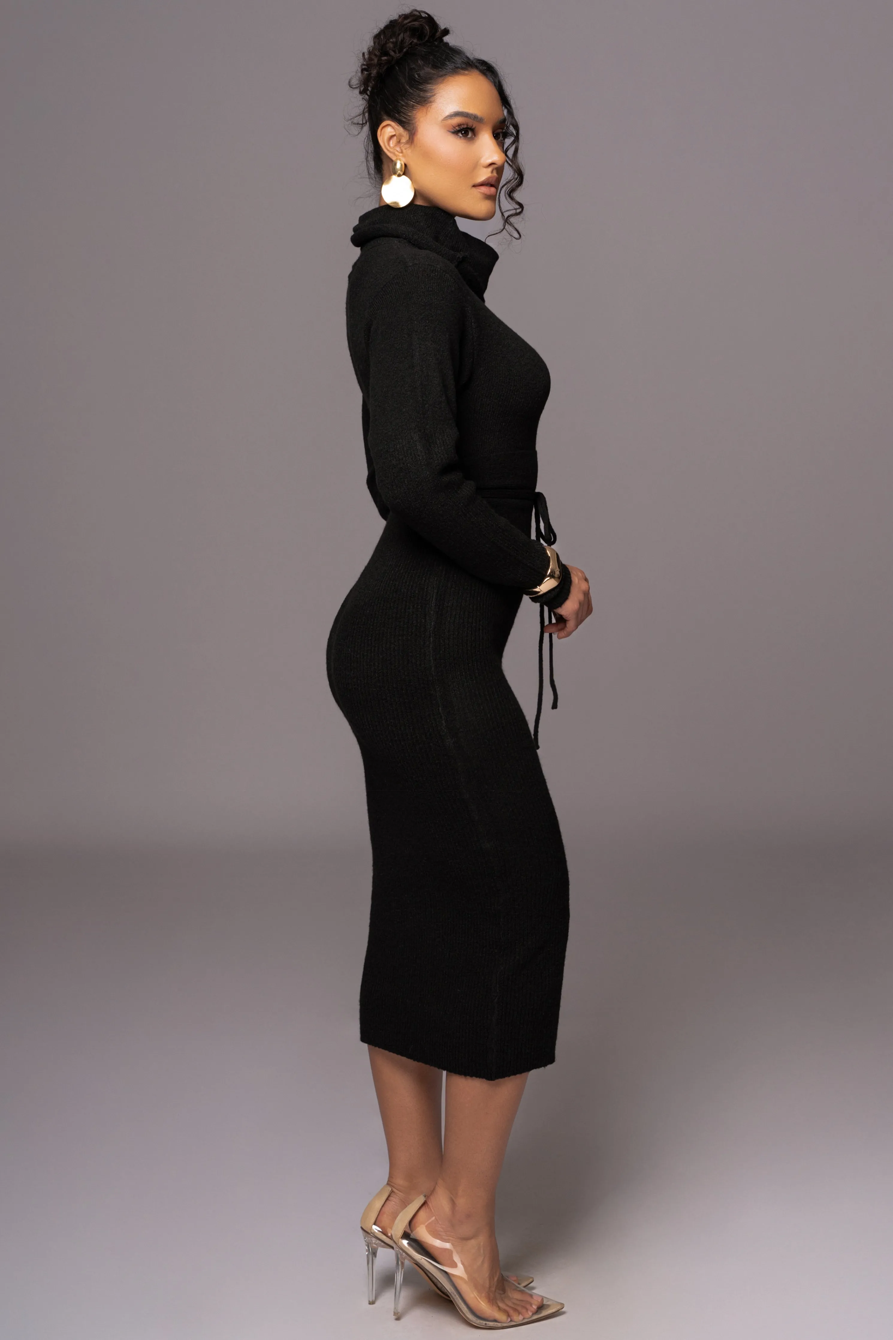 Black Aubrey Turtleneck Sweater Dress